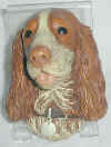 Springer_Spaniel.jpg (17025 bytes)