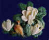 Birds_on_Magnolias1.jpg (31677 bytes)