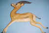 Gazelle4.jpg (8400 bytes)